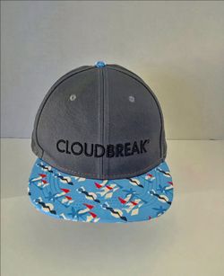Men's Cloud Break Hat 100 % Cotton Snapback Hat Grey And Blue Pattern,