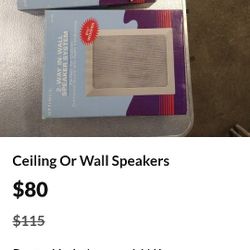 Recessed Audio Speakers