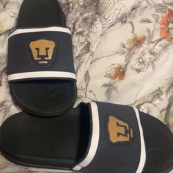 Pumas UNAM Slides Size 9