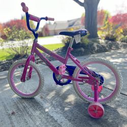 16 in. Bicycle With Training Wheels