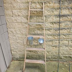 Ladder- Decor