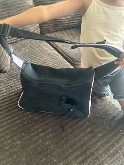 Pink small pet carrier
