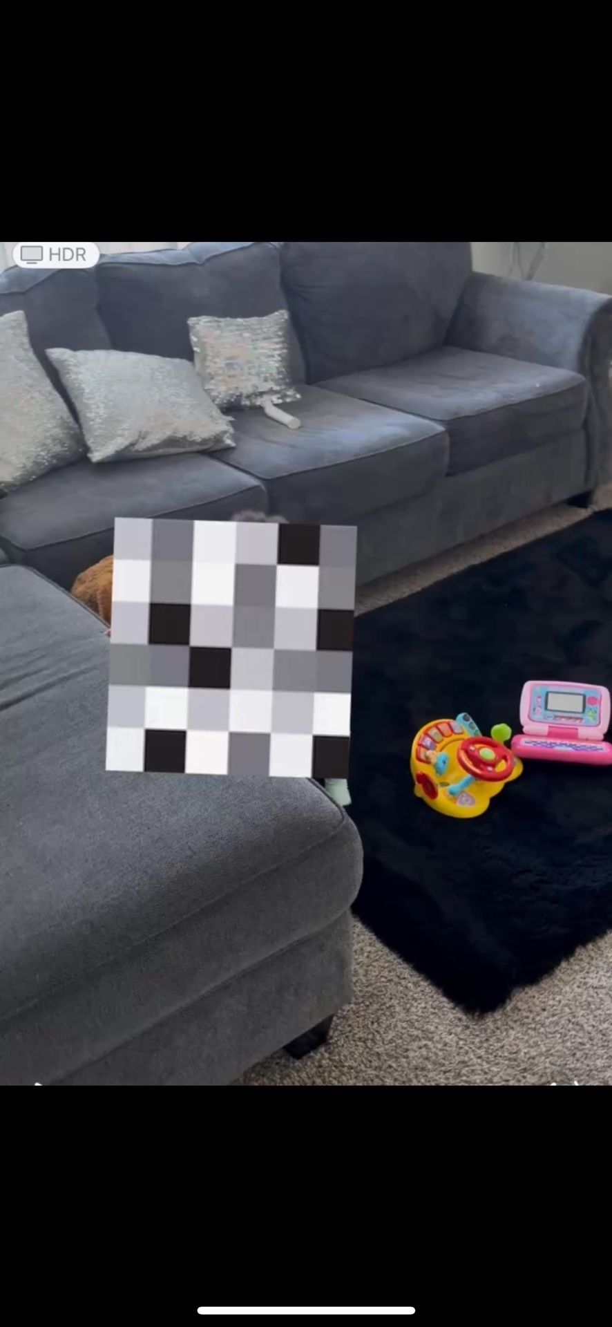Sectional Couch