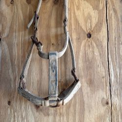 Horse Halter 