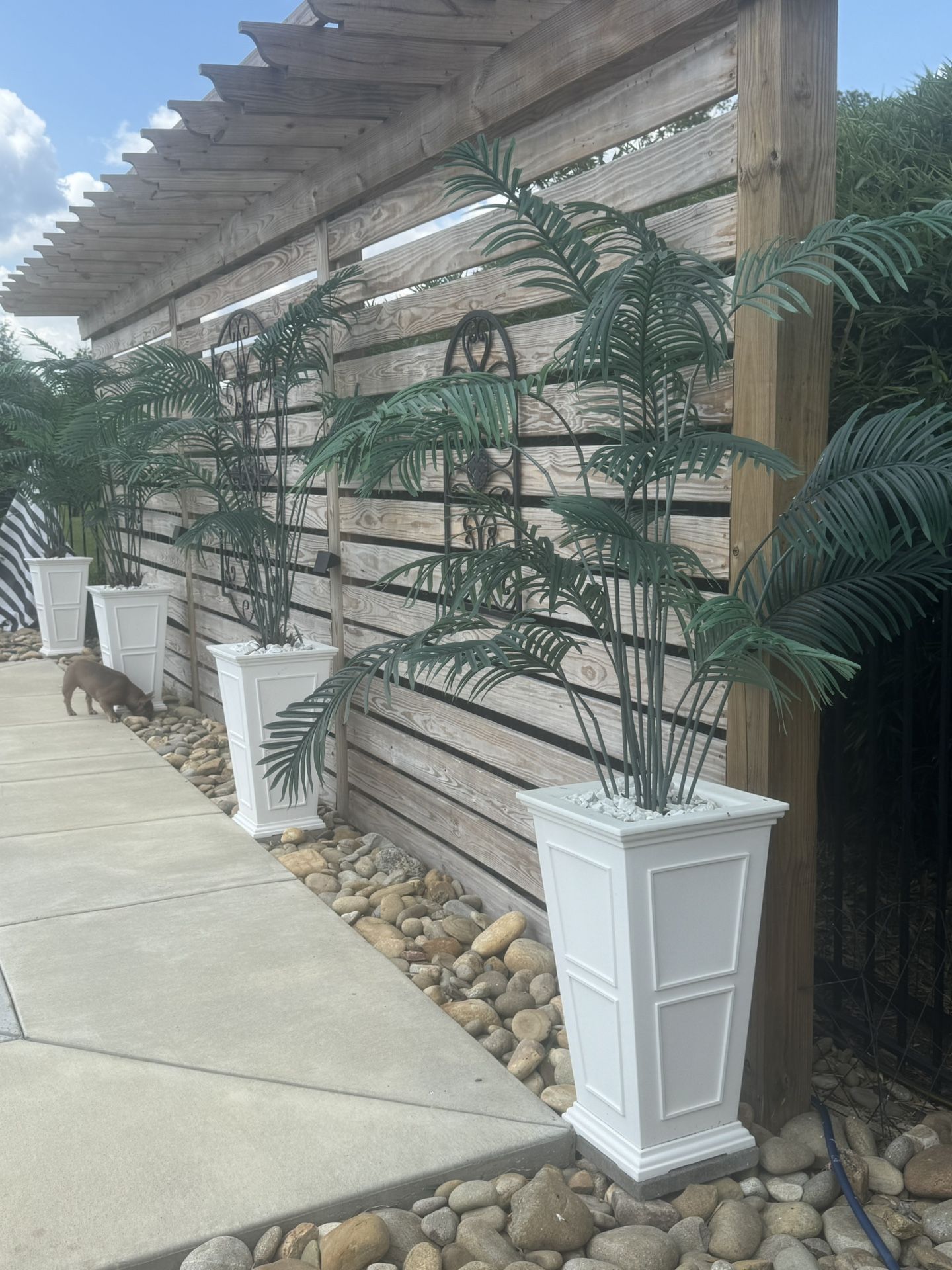 Palm Trees-planters not included