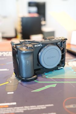 Sony a6600