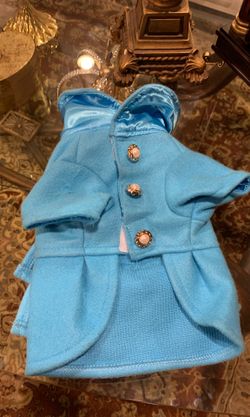 Little dog coat