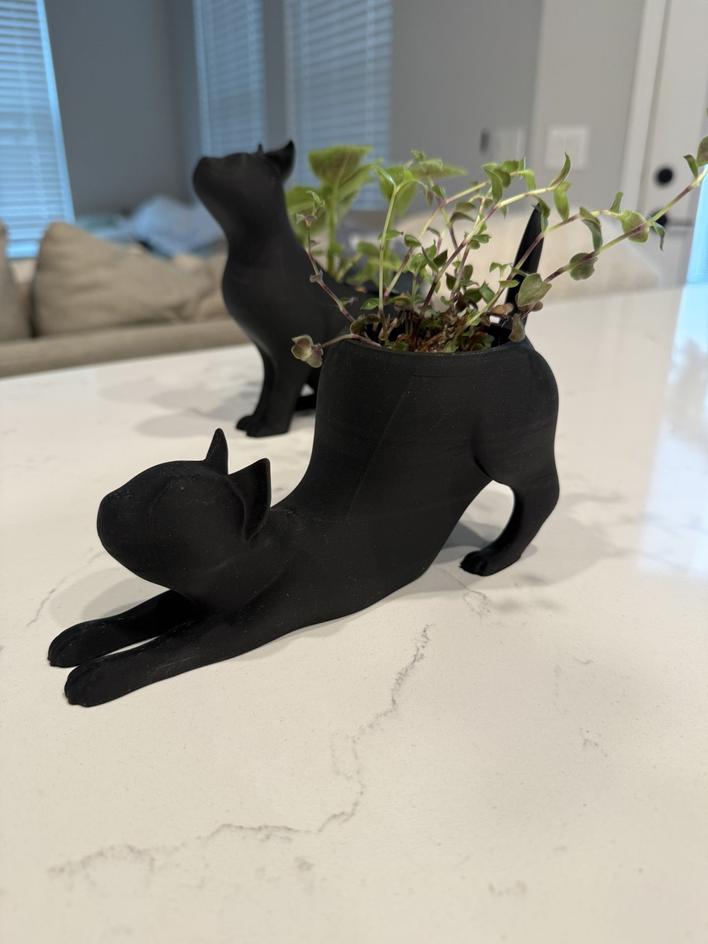 Black Cat Plant Holders