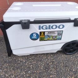 Igloo Cooler
