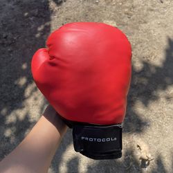 Cleto Reyes boxing gloves 14 oz