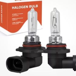 RAV4 Halogen Bulbs