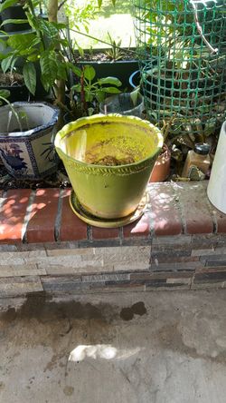 Ceramic pot
