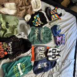 Small Dog Set 