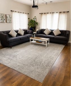 Two Living Room Couches - NEED GONE ASAP!