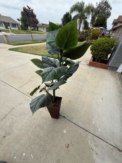 Faux plant