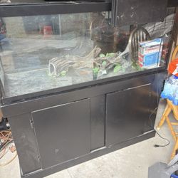 55 Gallon Aquarium W/Stand and Accessories