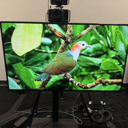 Samsung TV 55 inch with Stand