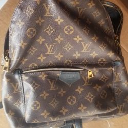Luis Vuitton Palm Spring Backpack 