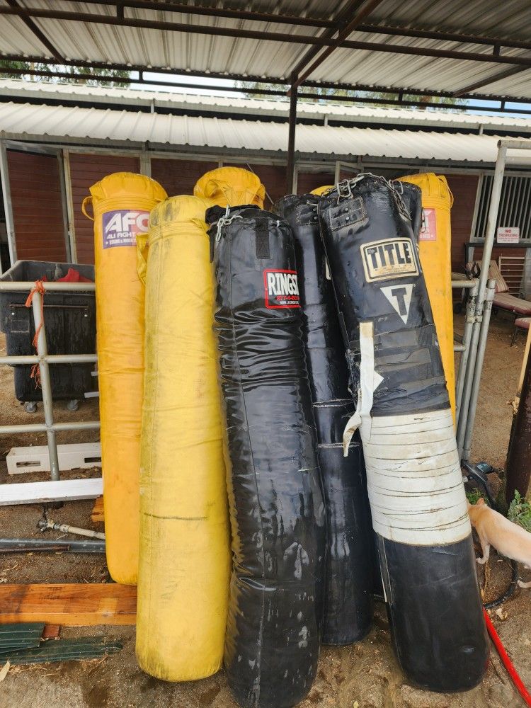 Boxing Bags