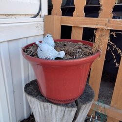 Pots 