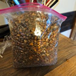New mexico Pinon nuts raw 1lb
