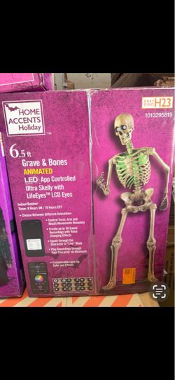 Home Accents Holiday 6.5 ft Animated Ultra Skelly