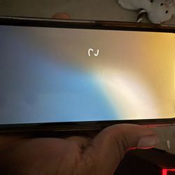 iPhone 13 Unlocked!