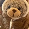 Teddy