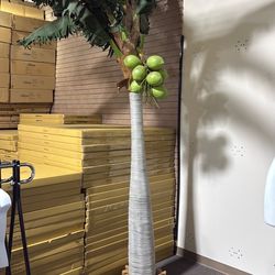 Palm tree with coconuts handcrafted display