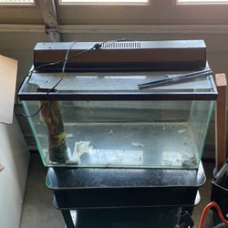 30 Gallon Fish Tank 