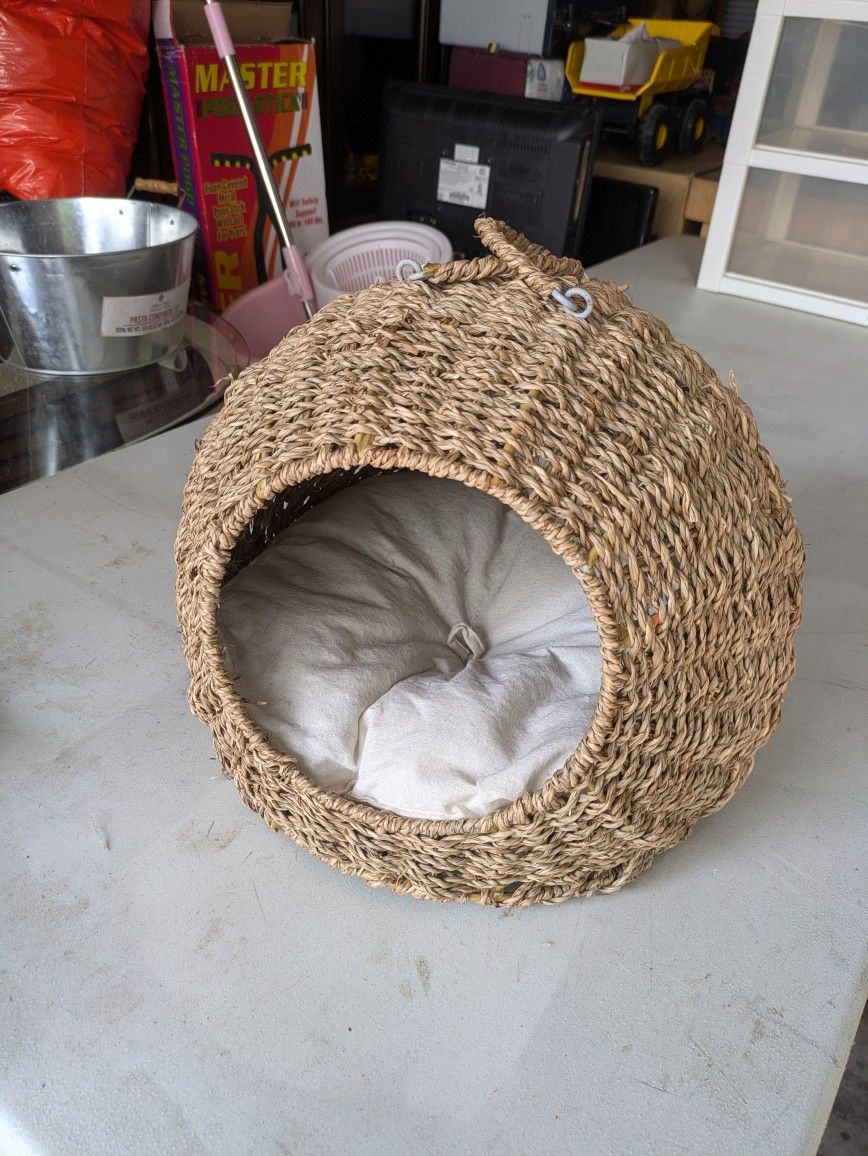 Car Or Dog House
