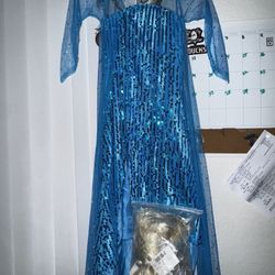 Elsa Costume Dress With Wig 