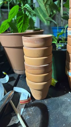 Small terracota pots