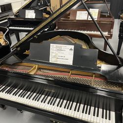 Pre Owned Steinway & Sons Model M Grand Piano