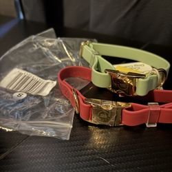 Size Small Dog Collars 