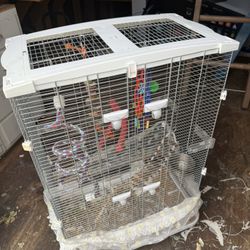 Bird Cage 