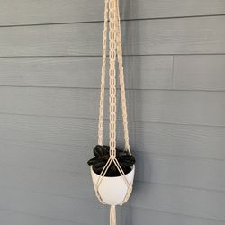 Macrame Plant Hanger