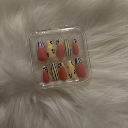 Handpainted Press On Nails