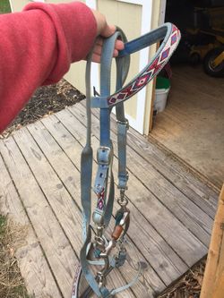 Bridle/bit/reins/chin strap/breast collar