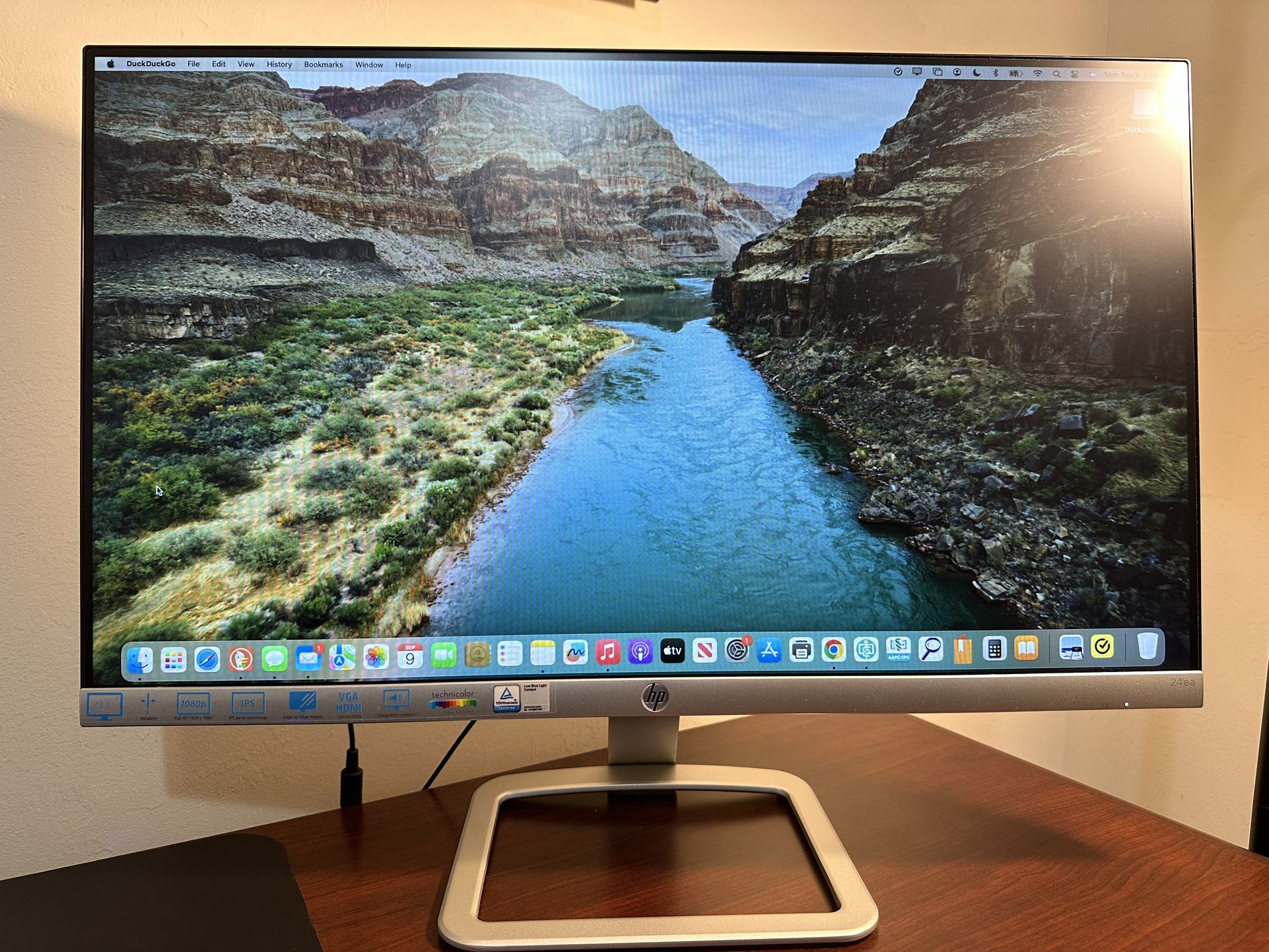 HP Computer Monitor