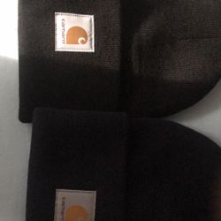 Cathartt Beenies 