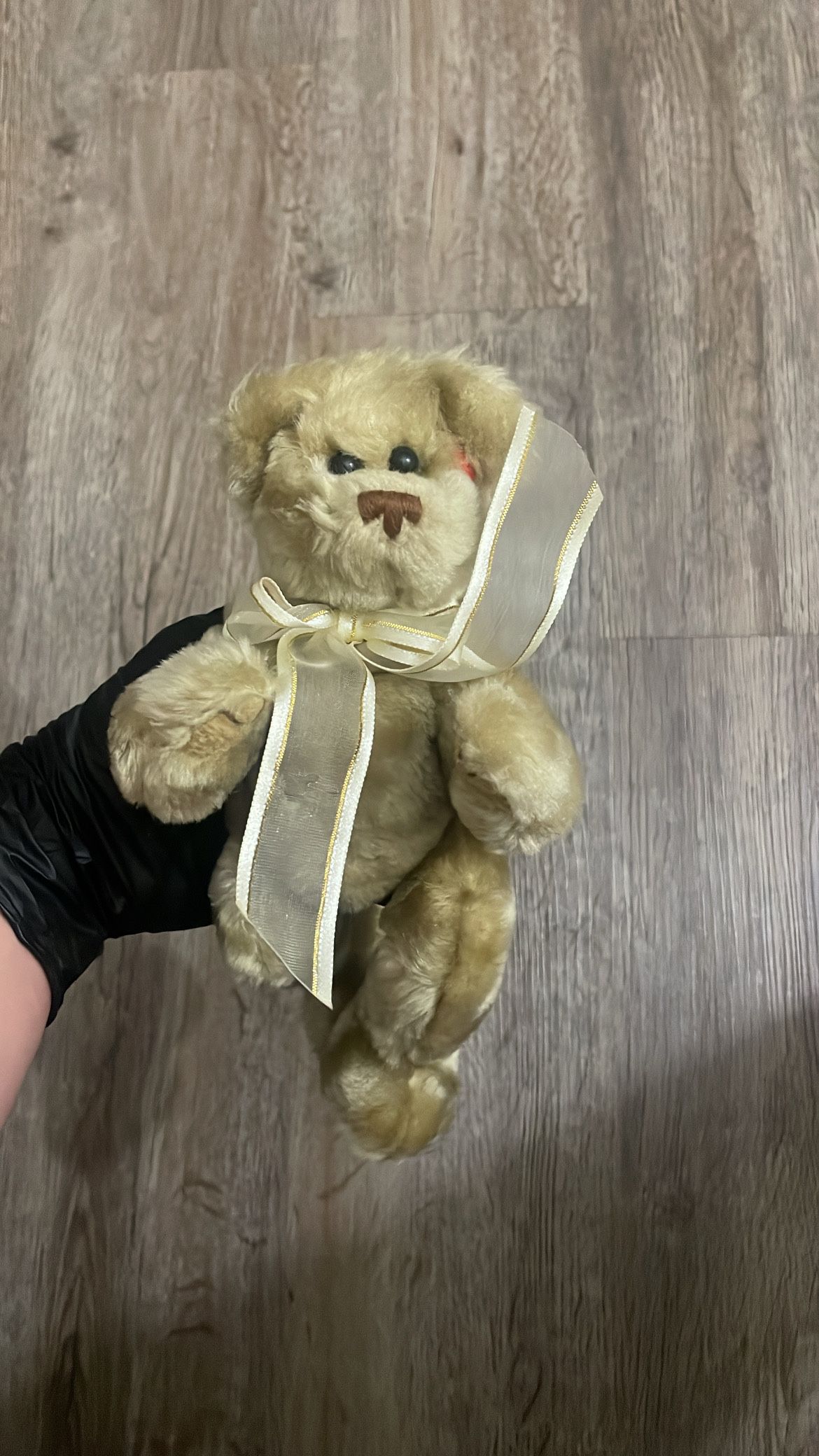 Ty Teddy bear 