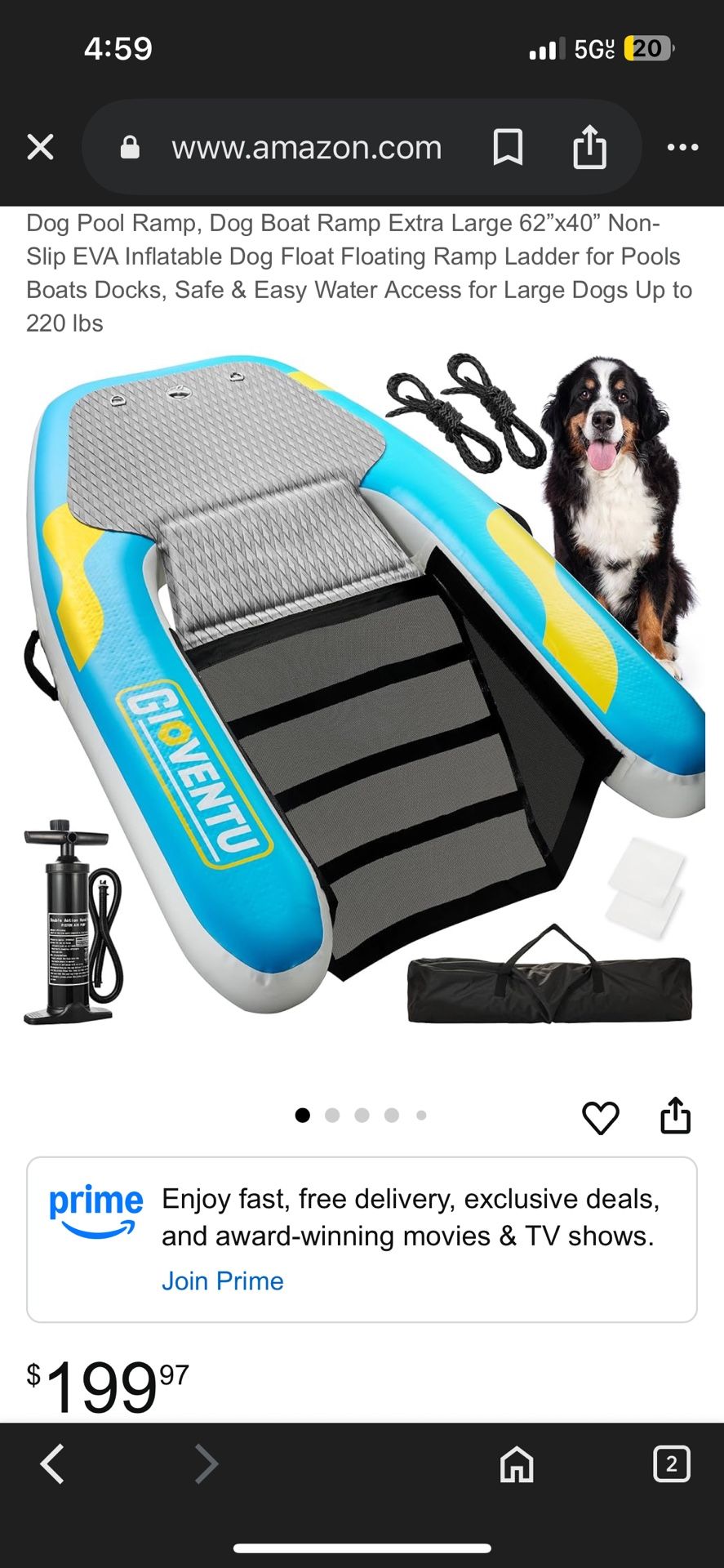 Inflatable Dog Dock For Ocean Or Lake