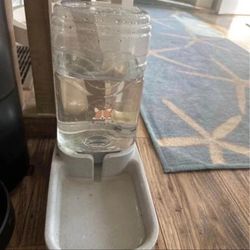 Large Dog Zero Gravity Water Bubbler 