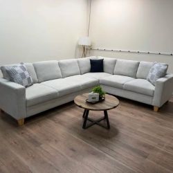 3 Piece Sectional Couch with a Pullout Lounge