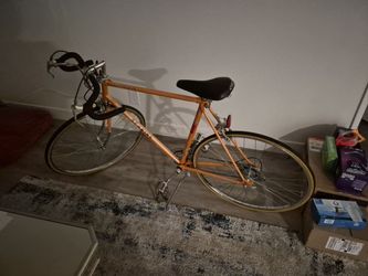 1970 Schwinn Le Tour III