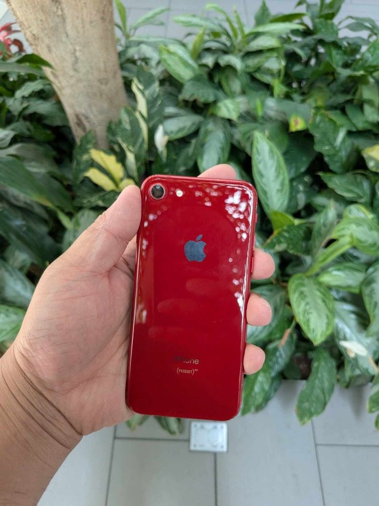 iPhone SE 256GB Fully Unlocekd
