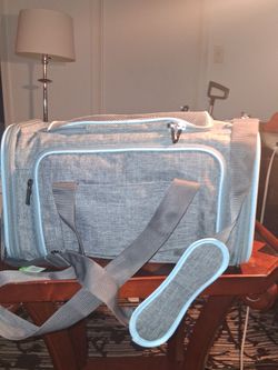 Petsfit pet carrier Great Condition