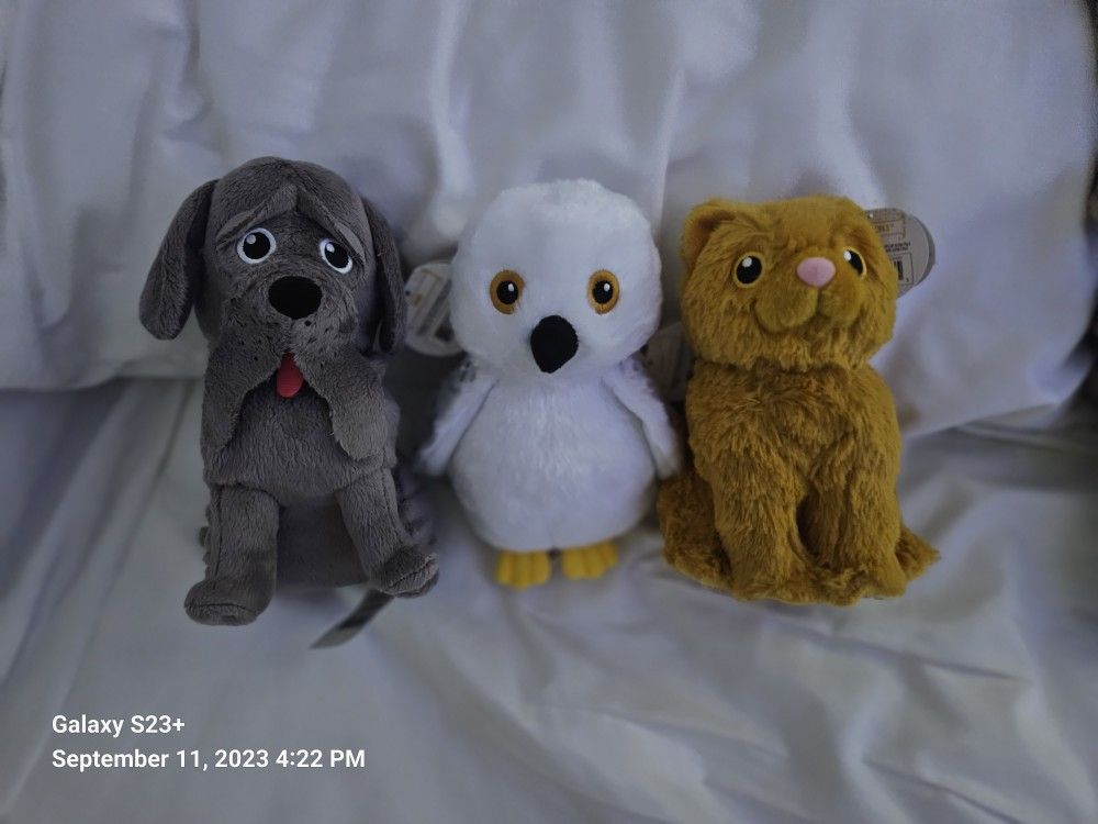 Harry Potter Pet Collection