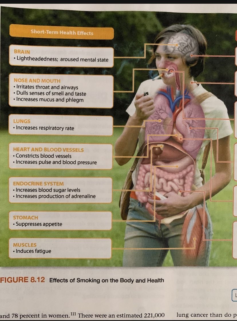 Pasadena City College Health The Basics Binder Book